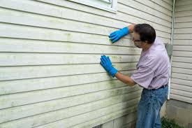 Best Insulated Siding Installation  in Newark, IL